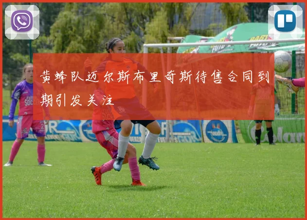 黄蜂队迈尔斯布里奇斯待售合同到期引发关注